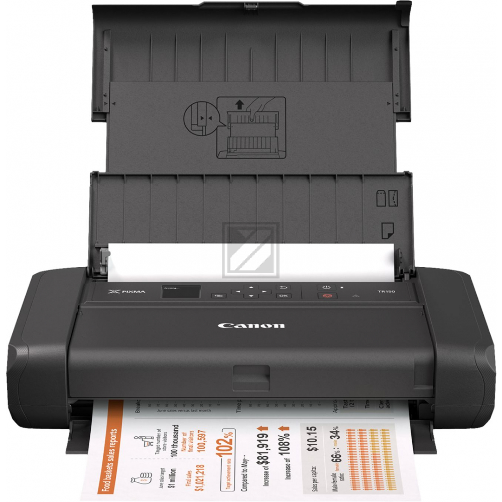 Canon Pixma TR 150 (4167C006)